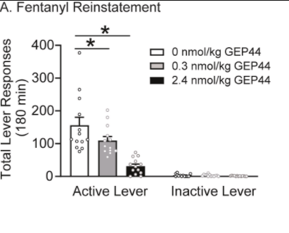 A novel dual agonist of glucagon-like peptide-1 receptors and neuropeptide Y2 receptors attenuates fentanyl taking and seeking in male rats