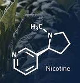 Our nicotine findings highlighted by the Insider